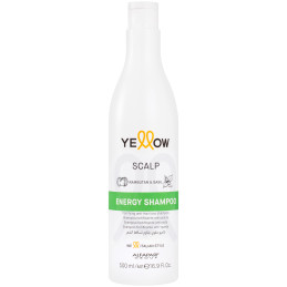 Alfaparf YELLOW Scalp Energy shampoo 500ml