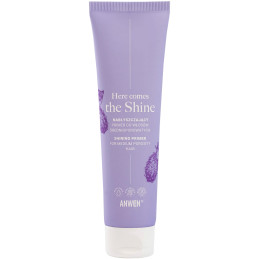 Anwen Here Comes The Shine - Medium-gloss Primer for Medium-porous Hair, 100ml