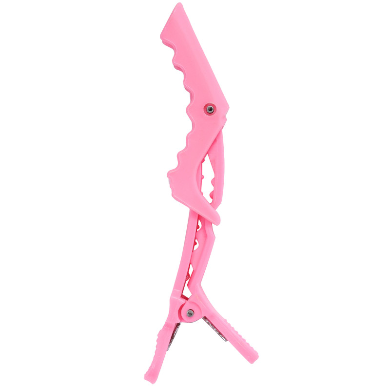 Sister Young Lara - hair clips 4pcs