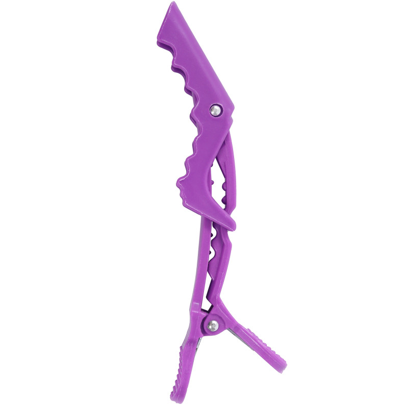 Sister Young Lara - hair clips 4pcs