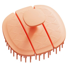 Poniks Blackomb BlissBrush DS309 Antibacterial Hair Massager, Orange