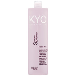 KYO Hydra System Dry Coloured Hair Shampoo 1000ml