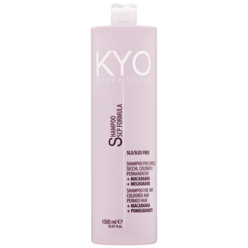 KYO Hydra System Dry Coloured Hair Shampoo 1000ml