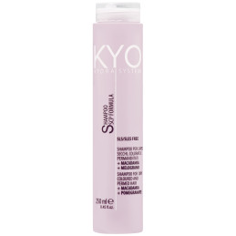 KYO Hydra System Dry Coloured Hair Shampoo 250ml