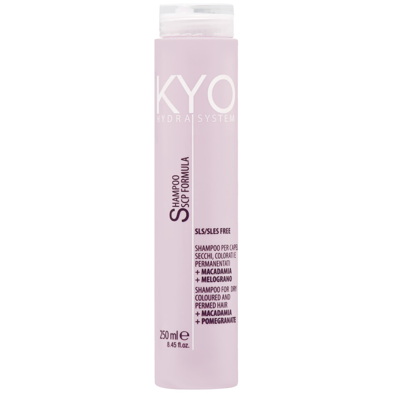 KYO Hydra System Dry Coloured Hair Shampoo 250ml
