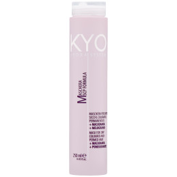 KYO Hydra System Dry Coloured Hair Mask 250ml