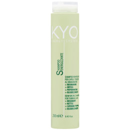 KYO Energy System Reinforcing Shampoo 250ml