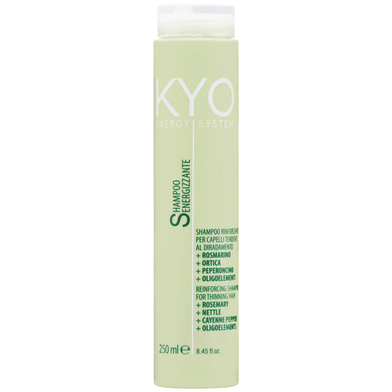 KYO Energy System Reinforcing Shampoo 250ml