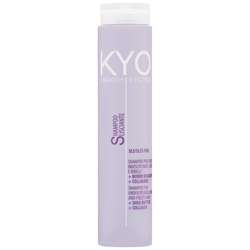 KYO Smooth System Frizzy Hair Shampoo 250ml