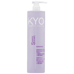 KYO Smooth System Frizzy Hair Shampoo 500ml