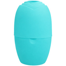 DeniCarte Ice facial massager
