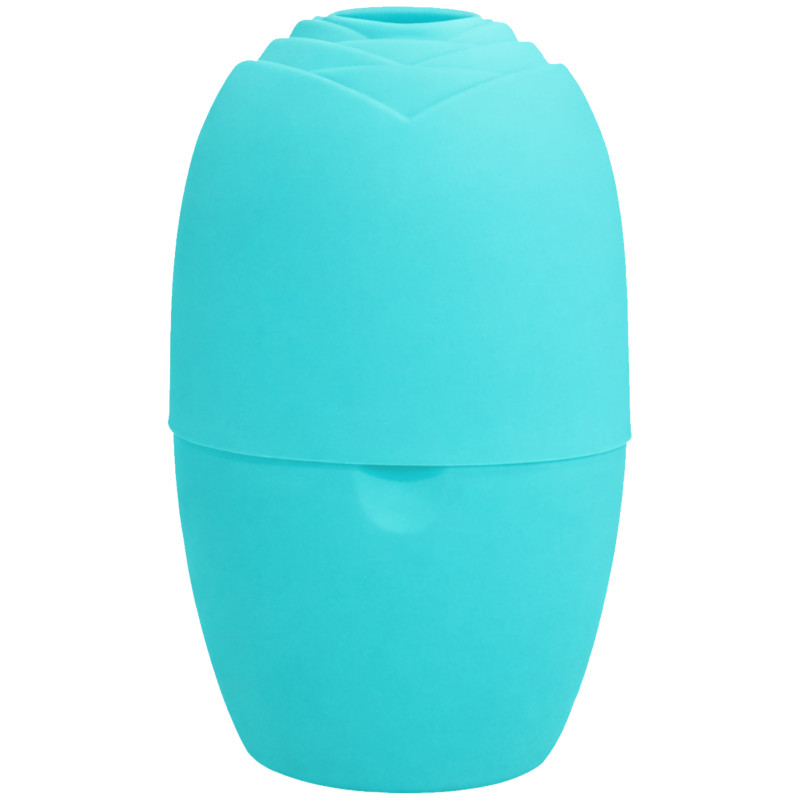 DeniCarte Ice facial massager