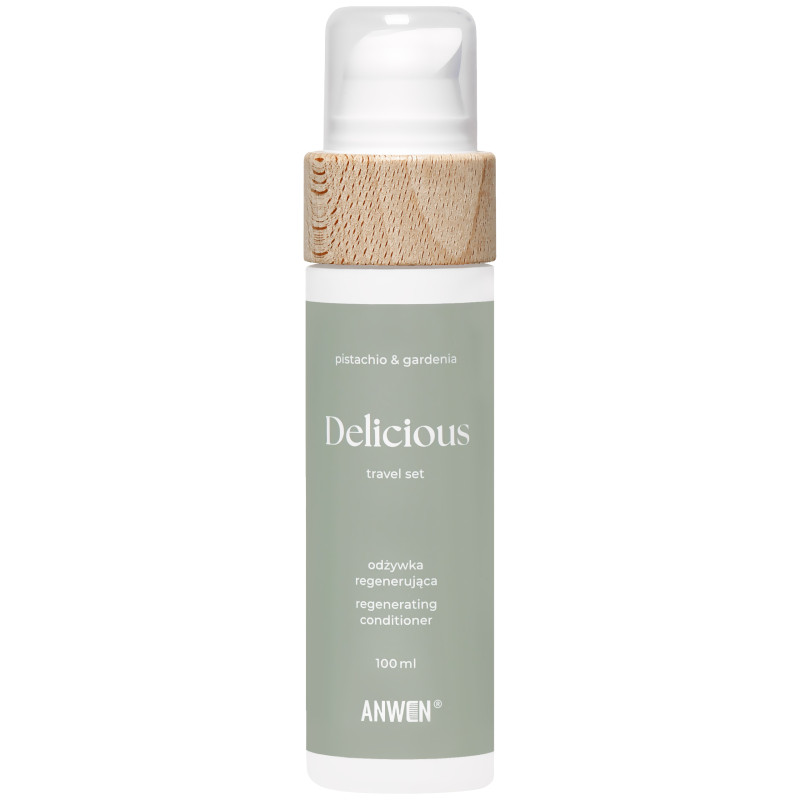 Anwen Odżywka Regenerująca Delicious Travel – odżywka do włosów zniszczonych, 100 ml